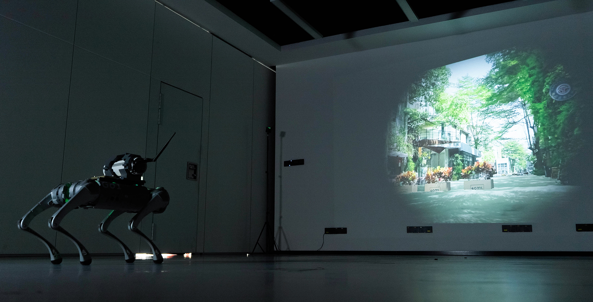 Installation view 1