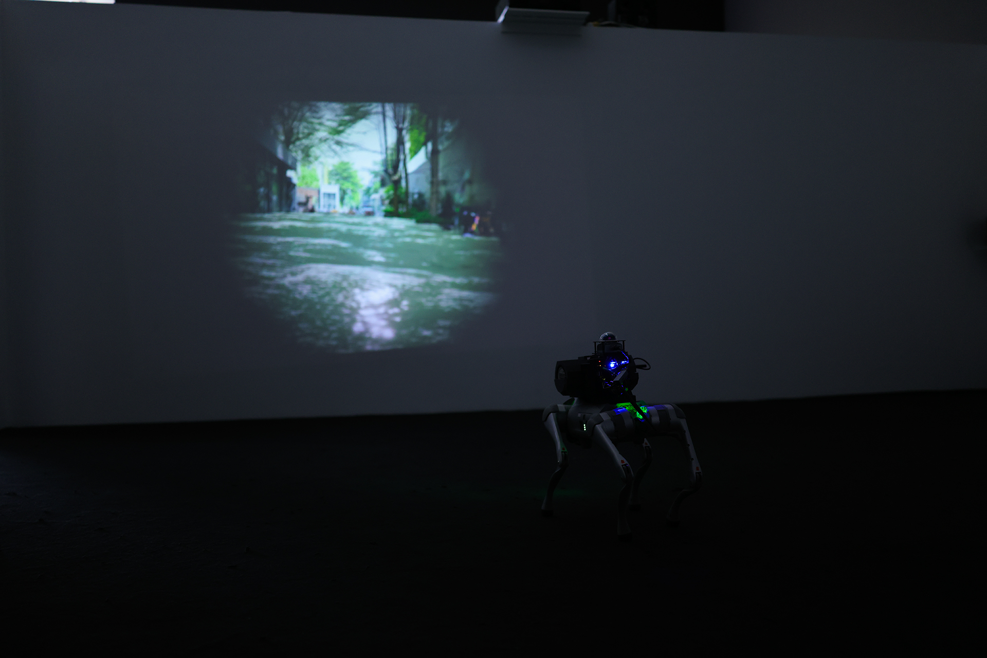 Installation view 2