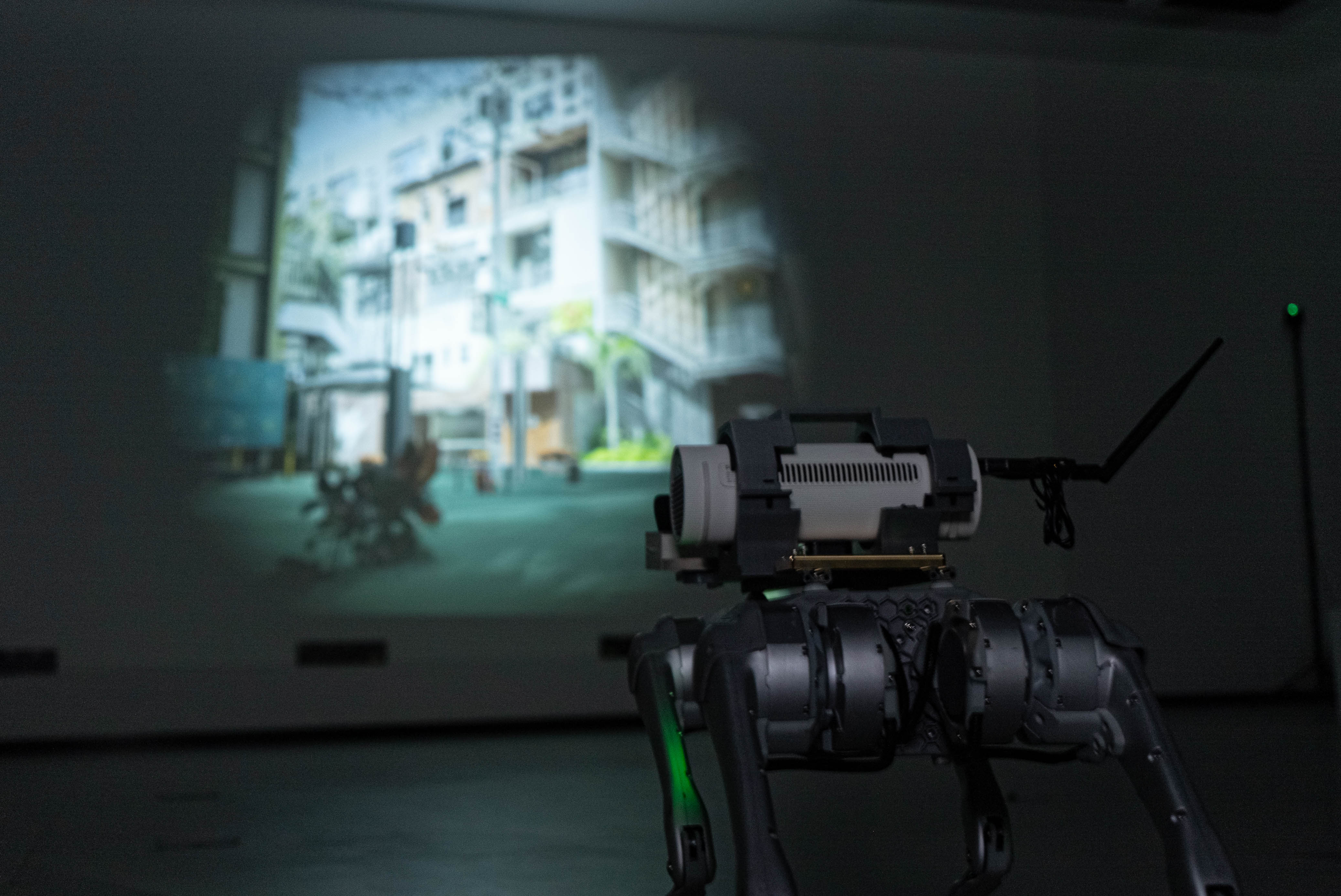 Installation view 4
